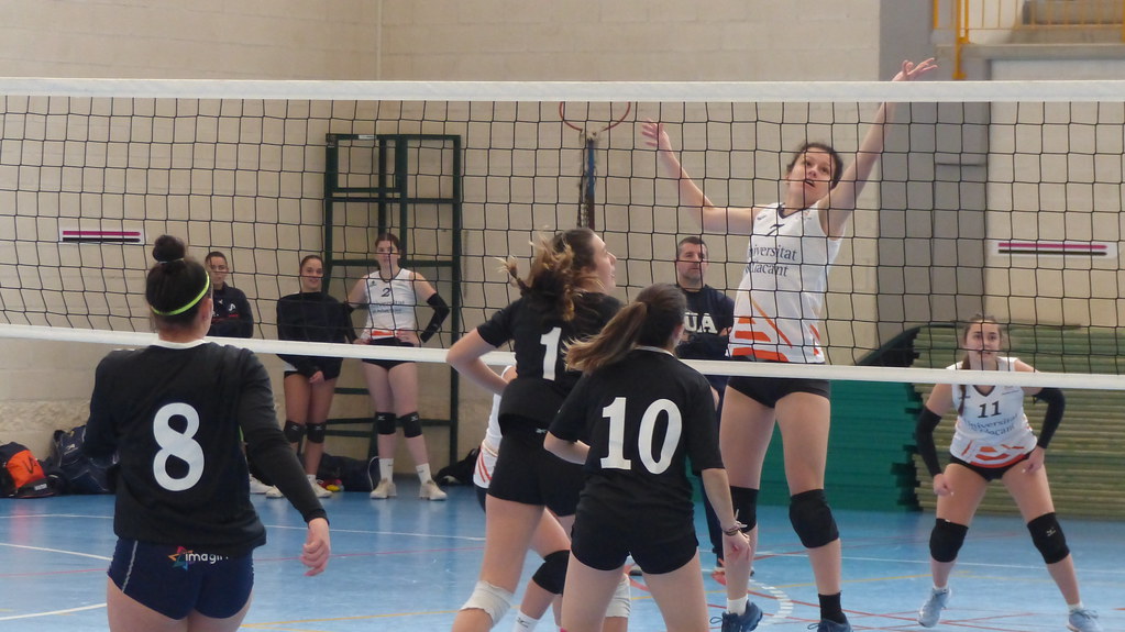 El equipo femenino de voleibol de la Universidad de Alicante lucha por el ascenso a Superliga 2 en 2025